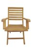 Andrew Folding Armchair (Set of 2 Chairs)